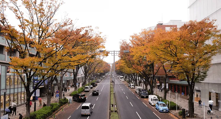 Omotesando is a stylish, tree-lined boulevard in Tokyo stretching from Harajuku to Aoyama, often called Tokyo’s Champs-Élysées