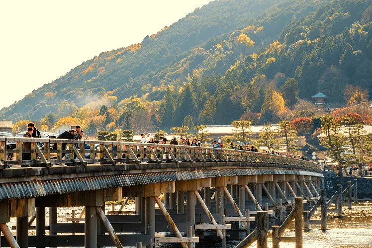 Tourists stroll across the iconic Togetsukyo Bridge in Arashiyama, enjoying panoramic views of the gently flowing Katsura River lined with colorful autumn foliage