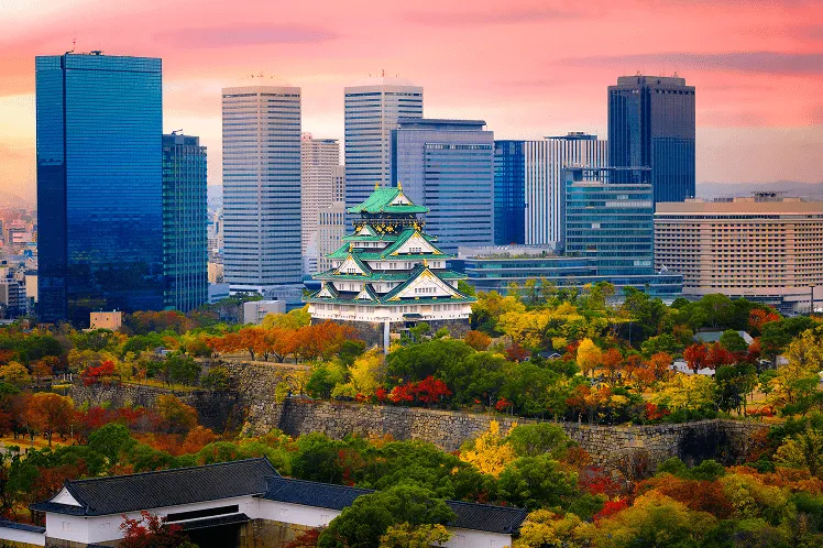 Osaka city basks in the glow of a pink autumn sunset, with sleek modern skyscrapers rising above leafy streets lined with vibrant red and gold foliage