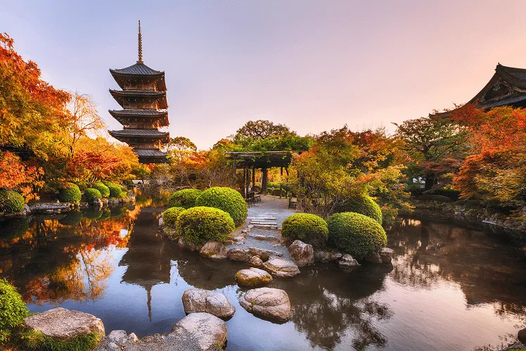 A tranquil Japanese garden in Kyoto during peak autumn, featuring a serene pond surrounded by fiery red, orange, and golden maple trees