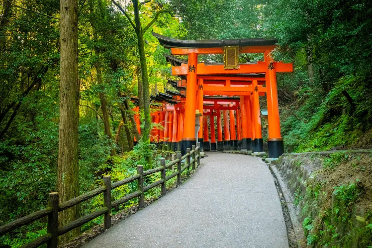 A breathtaking view of Fushimi Inari Taisha with its famous thousands of vibrant vermilion torii gates, the bright red-orange gates create a striking contrast against the lush greenery